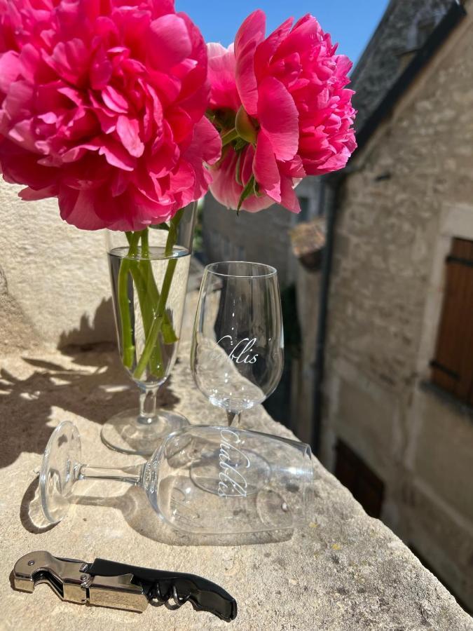 La Maison D'Alienor - Gites De Caractere A Chablis - 89 Luaran gambar