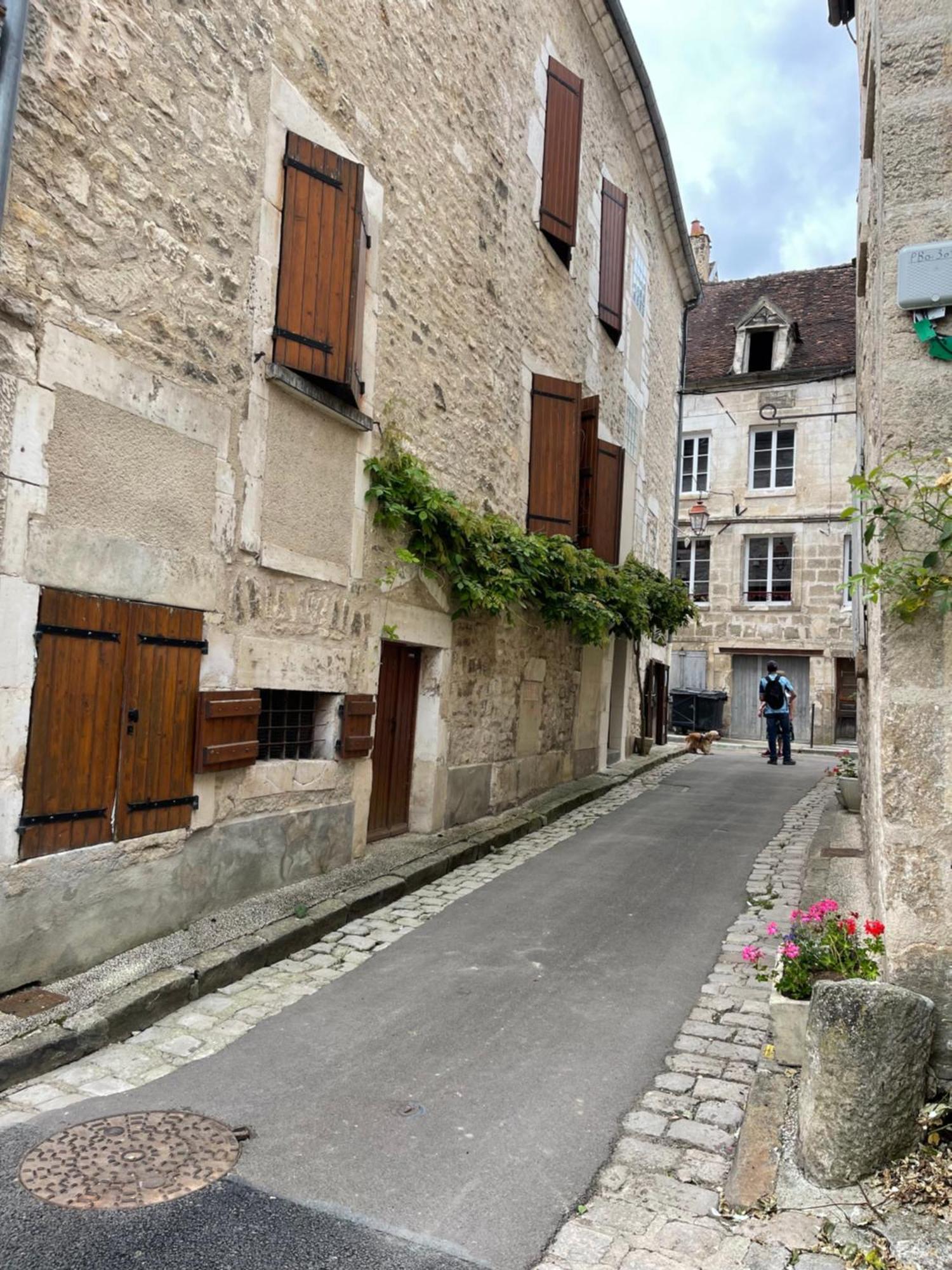 La Maison D'Alienor - Gites De Caractere A Chablis - 89 Luaran gambar